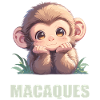 Macaque Macaque