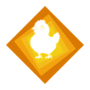 Chicken Egg