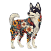 Akita