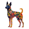 Belgischer Malinois