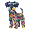 Zwergschnauzer