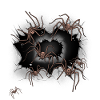 araignées araignées Halloween
