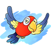 Perroquet (Ciel)