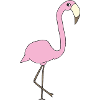 Flamingo Pink