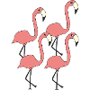 Flamingo Group