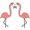 Flamingo in love