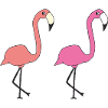 Flamingo Friends