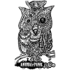Mr. Owl SteamPunk AnimalPunk