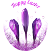 Crocus Joyeuses Pâques