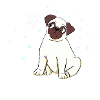 Winter Magic Pug