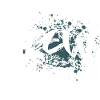 Crew