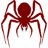Hairy Spider