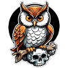 Owl sitting on Skull