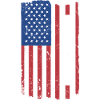 Rider Us Flag Dressage
