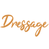 Rider Dressage
