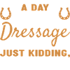 Rider A Day Without Dressage