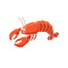Crawfish Gifts
