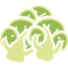 Brussels sprouts
