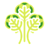 Brussels sprouts