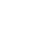 Basketball Player