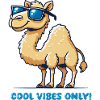 Camel Sunglasses Cool