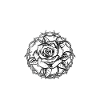 Pas ma journée – Rose anti-Saint-Valentin