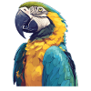 Macaw's Era