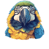 Macaw's Era