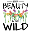 Wildflowers Flowers