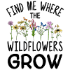 Wildflowers Flowers