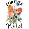 Wildflowers Flowers