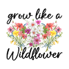 Wildflowers Flowers