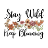 Wildflowers Flowers