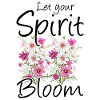 Wildflowers Flowers