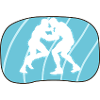 Wrestling Fighter Fight