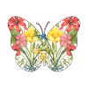 Wildflowers Flowers Butterfly