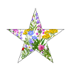 Wildflowers Flowers