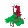 Flag of Wales, Welsh pride