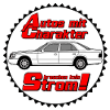 MB W124 , Youngtimer,Chrakter (25)