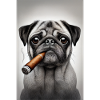 Pug with cigar