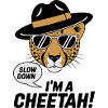 Gepard verlangsamen