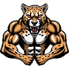 Cheetah Muscles Bodybuilding
