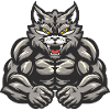 Cat Muscles Bodybuilding