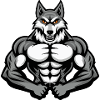 Husky Chien Muscles Musculation