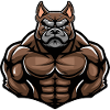 Bulldog Dog Muscles Bodybuilding