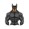 Doberman Chien Muscles Musculation