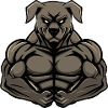 Kangal Chien Muscles Musculation