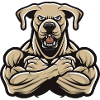 Labrador Dog Muscles Bodybuilding