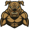 Mastiff Dog Muscles Bodybuilding