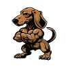 Dachshund Dog Muscles Bodybuilding Dachshund